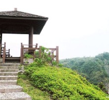 蕃薯寮(遺勇成林)